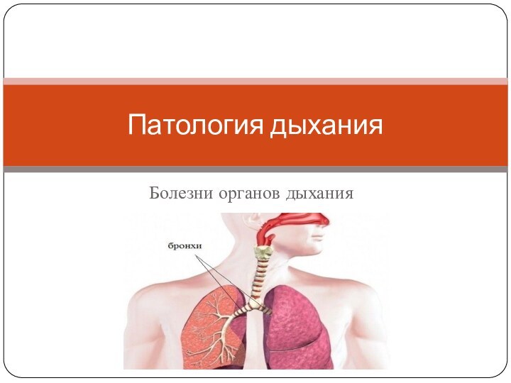 Болезни органов дыханияПатология дыхания