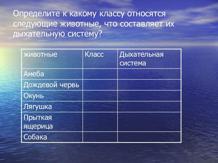 Определите к какому классу относятся следующие животные, что составляет их дыхательную систему?