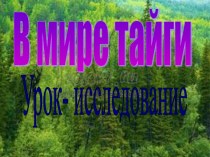 В мире тайги