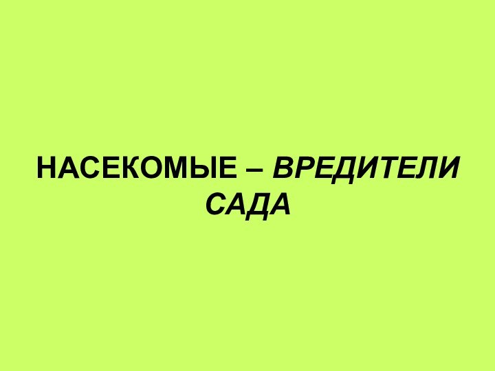 НАСЕКОМЫЕ – ВРЕДИТЕЛИ САДА