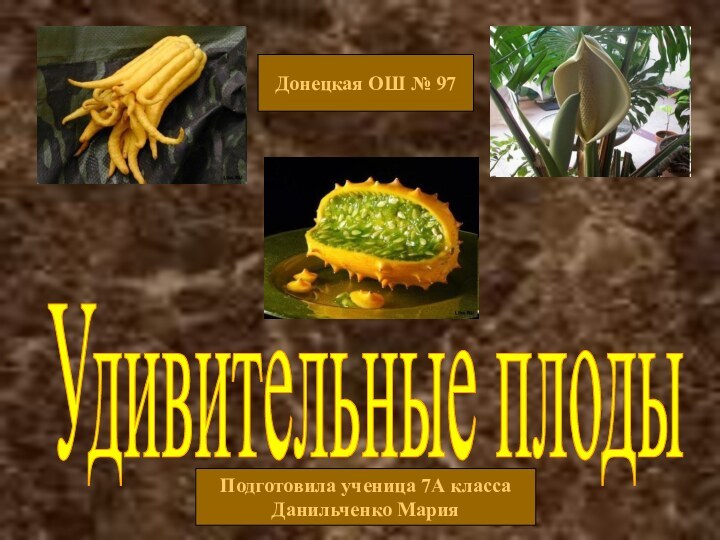 Удивительные плодыПодготовила ученица 7А классаДанильченко МарияДонецкая ОШ № 97