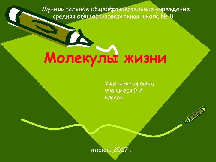 Молекулы жизниМуниципальное общеобразовательное учреждение    средняя общеобразовательная школа № 8