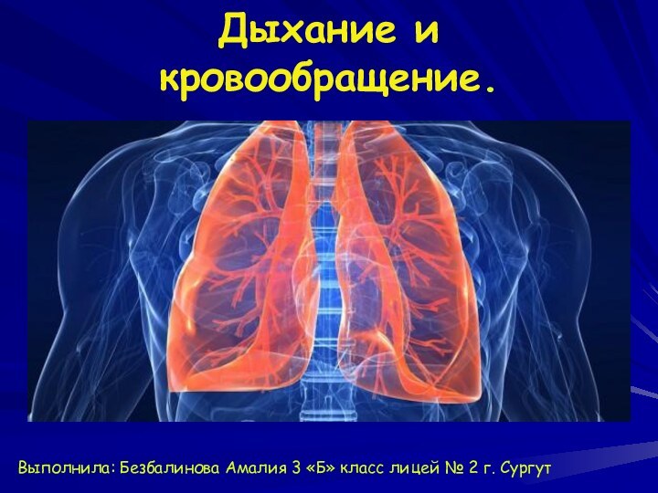 Дыхание и кровообращение.Выполнила: Безбалинова Амалия 3 «Б» класс лицей № 2 г. Сургут