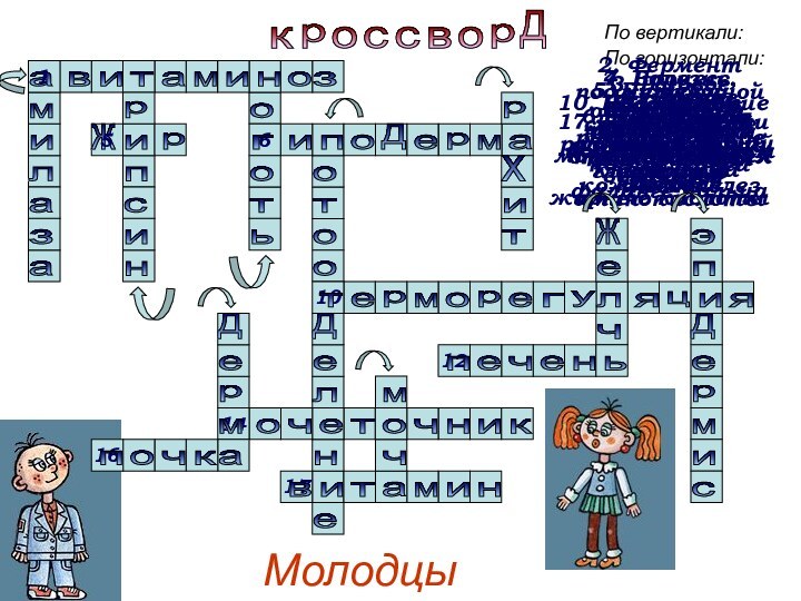 По горизонтали: 1. Полное отсутствие витаминова в и т а м и