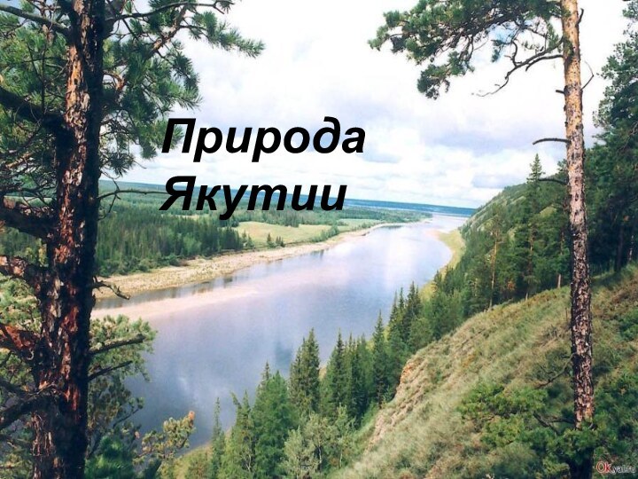 Природа Якутии