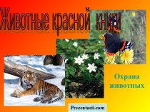 Животные красной книги. Охрана животных