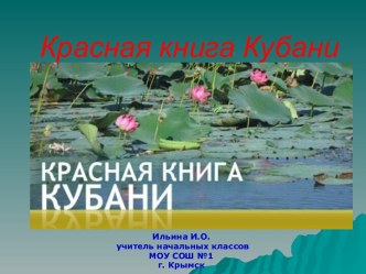 Красная книга в Кубани