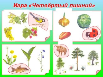 Разнообразие животного мира Краснодарского края