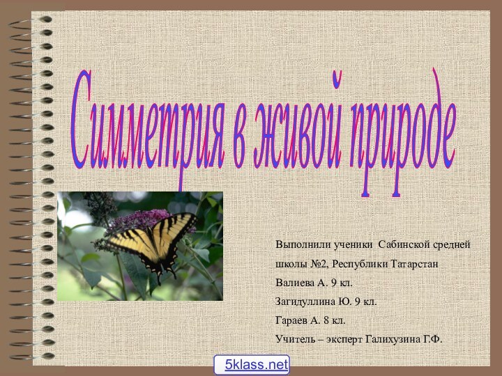 Симметрия в живой природе Выполнили ученики Сабинской средней школы №2, Республики ТатарстанВалиева