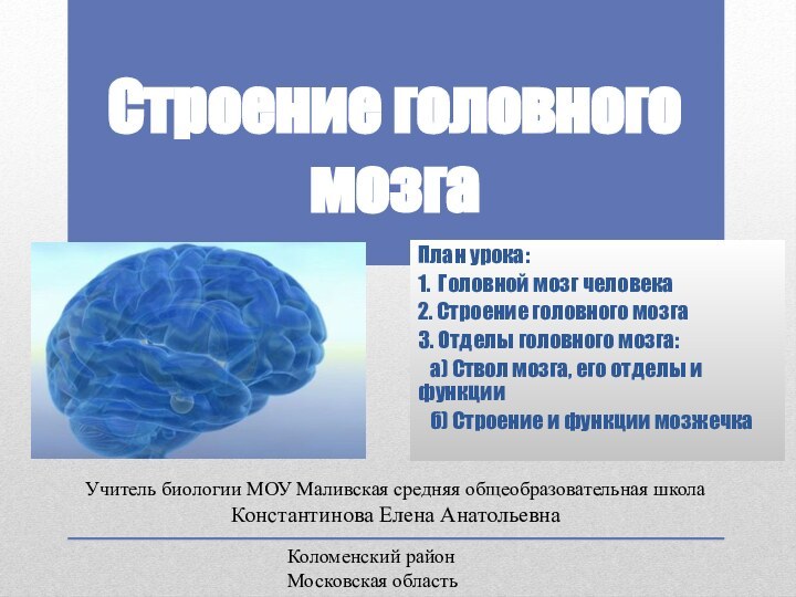 Строение головного мозгаПлан урока:1. Головной мозг человека2. Строение головного мозга3. Отделы головного