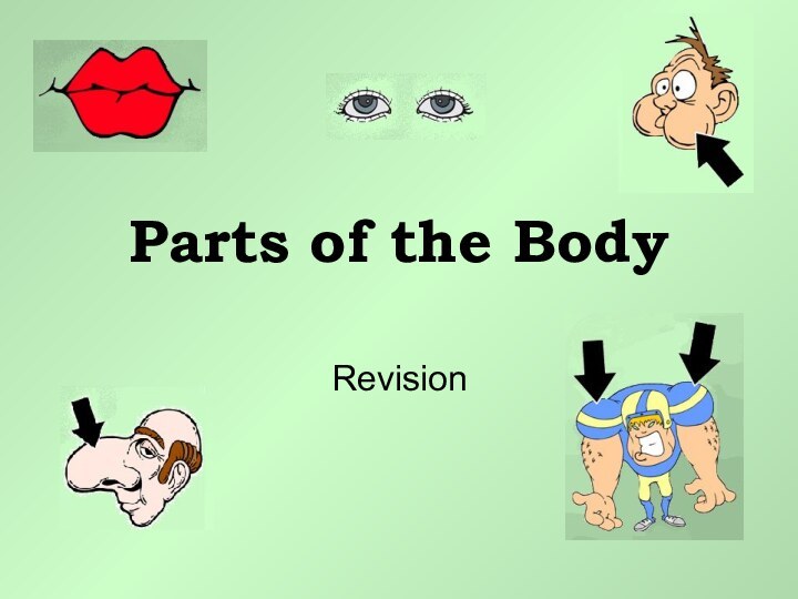 Parts of the BodyRevision