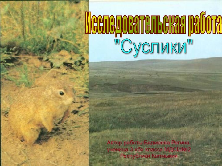 Автор работы:Бадмаева Регина, ученица 3 «б» класса МДСШ№2 Республики КалмыкияИсследовательская работа 
