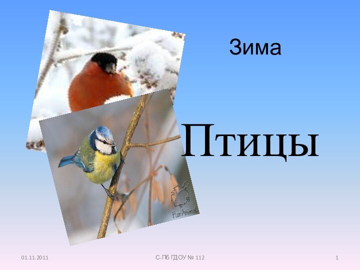 Зима01.11.2011С-Пб ГДОУ № 112Птицы