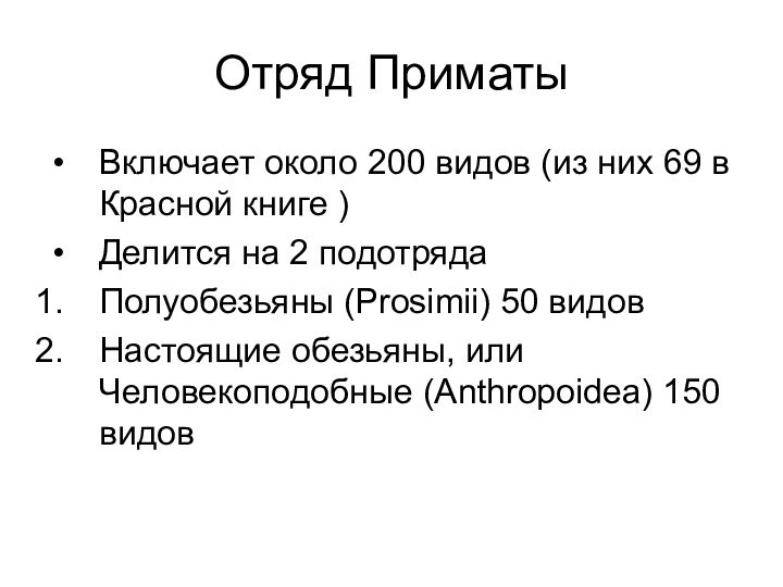 Отряд Приматы Включает около 200 видов (из них 69 в Красной книге