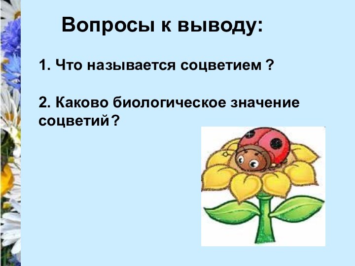 Вопросы к выводу:1. Что называется соцветием?2. Каково биологическое значение соцветий?
