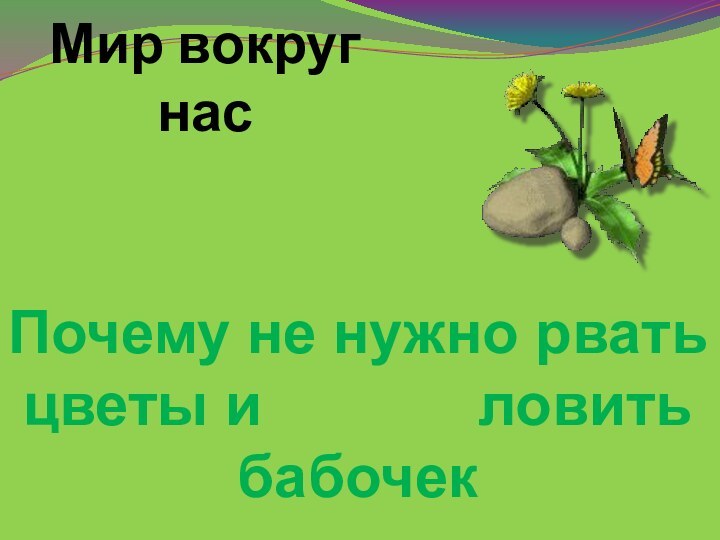 Мир вокруг насПочему не нужно рвать цветы и       ловить бабочек