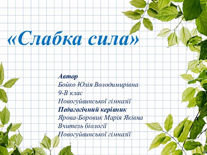 АвторБойко Юлія Володимирівна9-В класНовогуйвинської гімназіїПедагогічний керівникЯрова-Боровик Марія ЯківнаВчитель біології Новогуйвинської гімназії«Слабка сила»