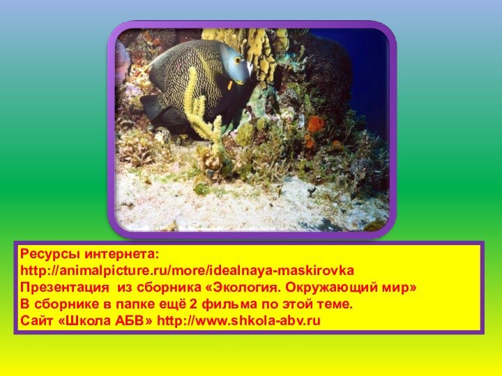 Ресурсы интернета:http://animalpicture.ru/more/idealnaya-maskirovkaПрезентация из сборника «Экология. Окружающий мир» В сборнике в папке ещё