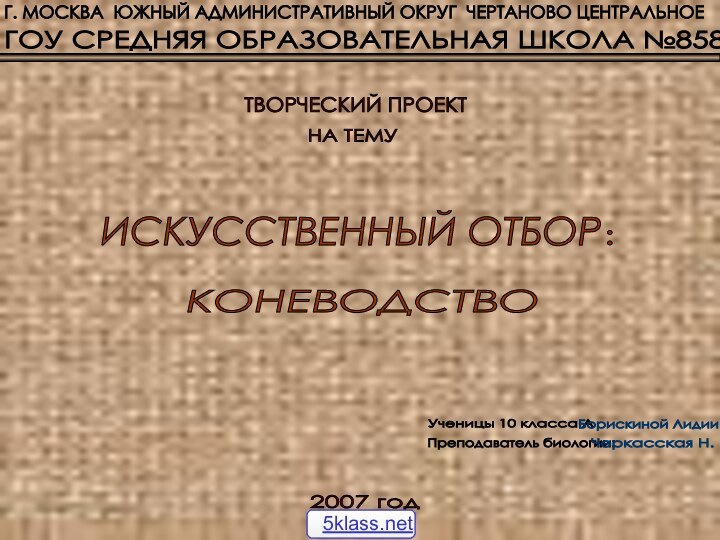 ТВОРЧЕСКИЙ ПРОЕКТ НА ТЕМУ 2007 год Ученицы 10 класса А Борискиной Лидии