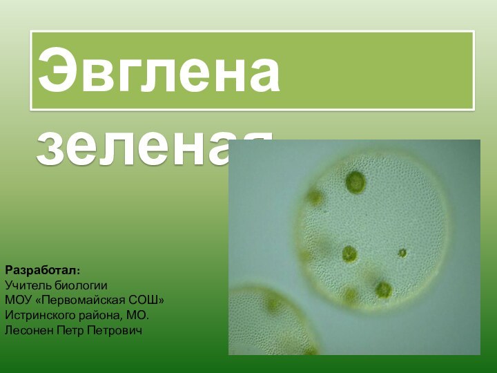 Эвглена зеленаяРазработал:Учитель биологии МОУ «Первомайская СОШ»Истринского района, МО.Лесонен Петр Петрович