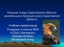 Хищные птицы Саратовской области, занесённые в Красную книгу Саратовской области