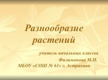 Разнообразие растений