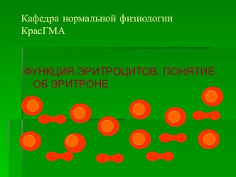 Презентация эритроциты