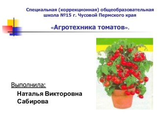 Агротехника томатов