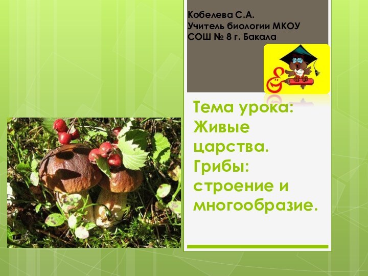 Тема урока: Живые царства. Грибы: строение и многообразие. Кобелева С.А.Учитель биологии МКОУ