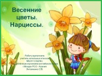 Весенние цветы. Нарциссы