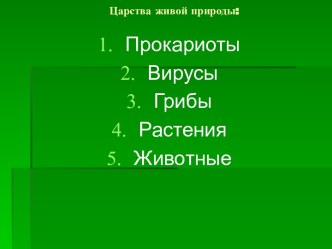 Подцарство Многоклеточные животные