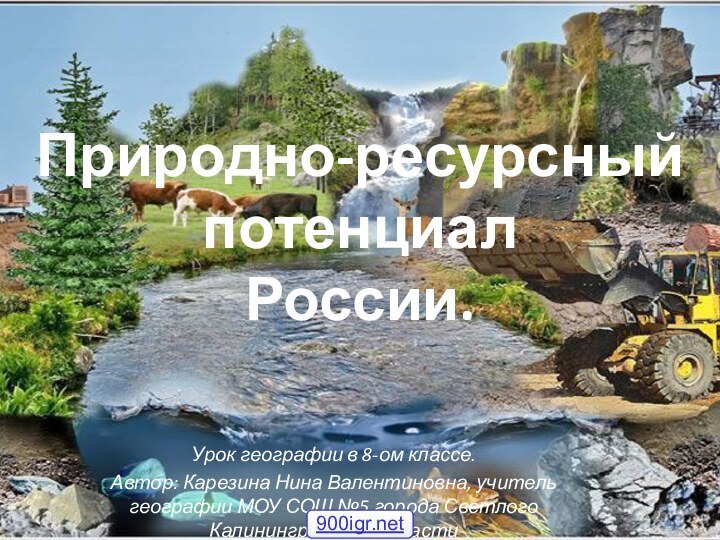 Природно-ресурсный потенциал  России. Урок географии в 8-ом классе.Автор: Карезина Нина Валентиновна,