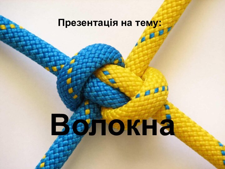 ВолокнаПрезентація на тему: