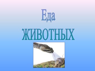 Еда животных