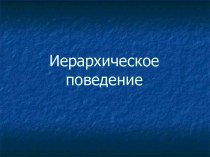 Иерархическое поведение