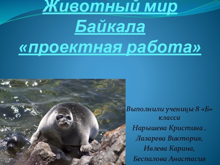 Животный мир Байкала «проектная работа»Выполнили ученицы 8 «Б» класса Нарышева Кристина ,Лазарева