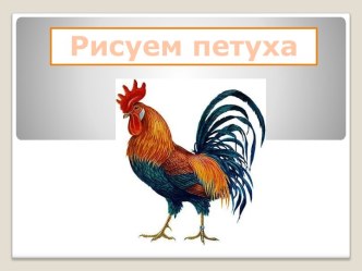 Рисуем петуха