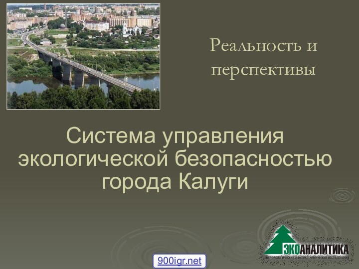 Система управления экологической безопасностью города КалугиРеальность и перспективы