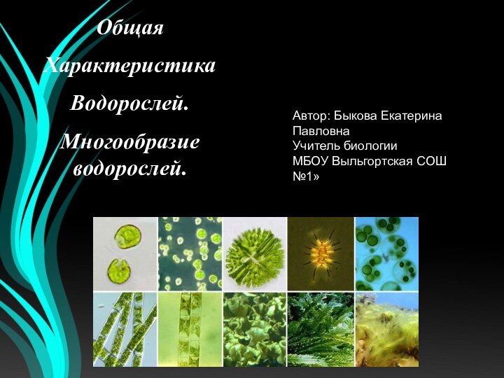 ОбщаяХарактеристика Водорослей.Многообразие водорослей.Автор: Быкова Екатерина ПавловнаУчитель биологииМБОУ Выльгортская СОШ №1»