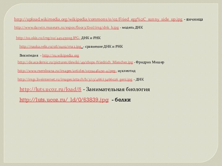 http://upload.wikimedia.org/wikipedia/commons/0/02/Fried_egg%2C_sunny_side_up.jpg - яичницаhttp://www.darwin.museum.ru/expos/floor3/Evol/img/dnk_b.jpg - модель ДНКhttp://su.okis.ru/img/su/445435ssg.JPG- ДНК и РНКhttp://nauka.relis.ru/08/0402/rna2.jpg - сравнение ДНК