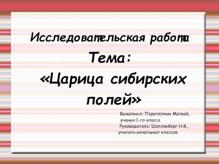 Исследовательская работаТема: «Царица сибирских полей»