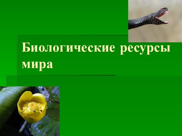 Биологические ресурсы мира