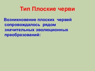 плоские черви