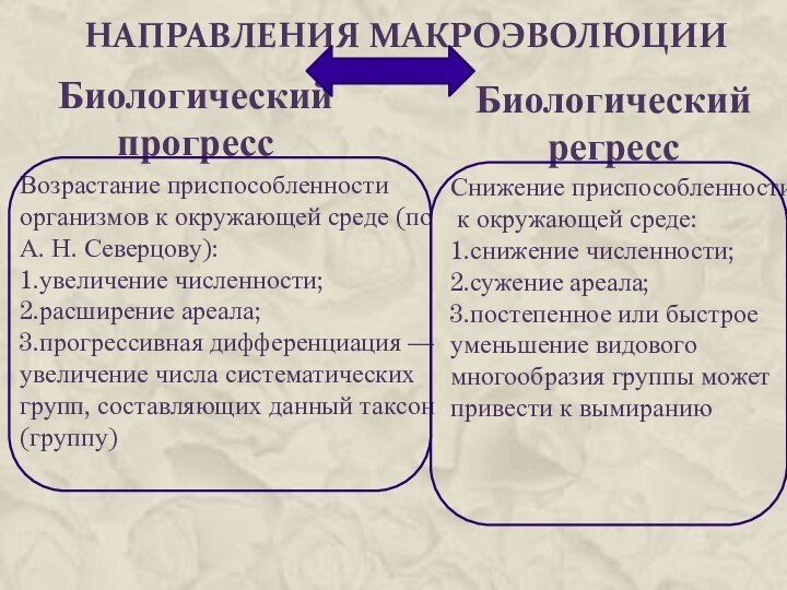 Направления макроэволюции Возрастание приспособленности организмов к окружающей среде (по А. Н. Северцову):1.увеличение