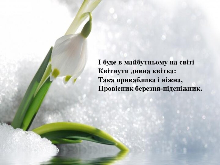 І буде в майбутньому на світіКвітнути дивна квітка:Така приваблива і ніжна,Провісник березня-підсніжник.