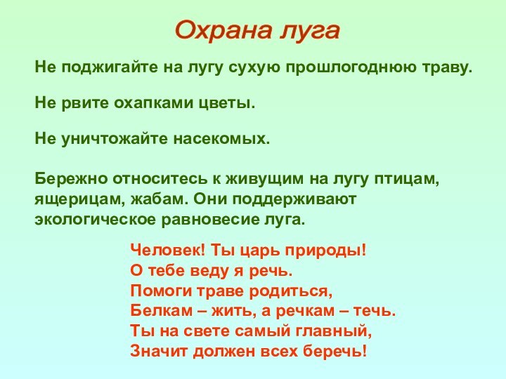 Не поджигайте на лугу сухую прошлогоднюю траву.Не рвите охапками цветы.Не уничтожайте насекомых.Бережно