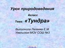 Тундра урок