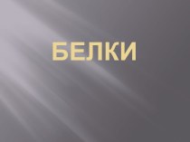 Белки