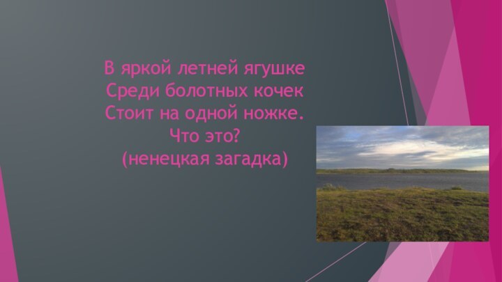 В яркой летней ягушке Среди болотных кочек Стоит на одной ножке. Что это?  (ненецкая загадка)