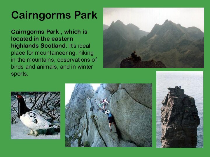 Cairngorms Park Cairngorms Park , which is located in the eastern highlands